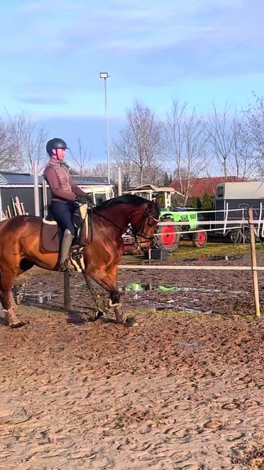 TikTok video thumbnail by cfb_dressage