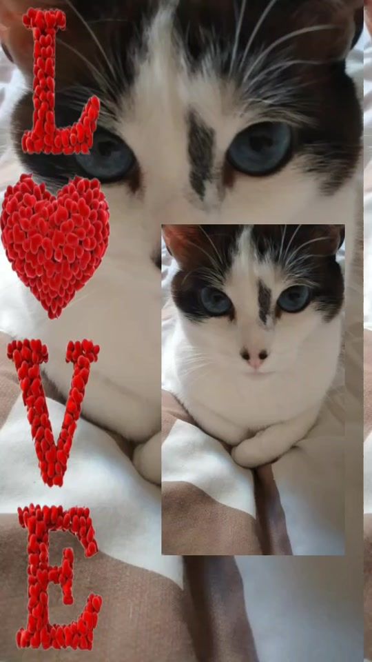TikTok video thumbnail by goretecoreia
