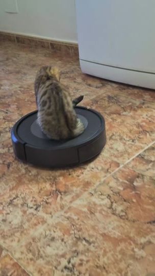 TikTok video thumbnail by estrelllaas