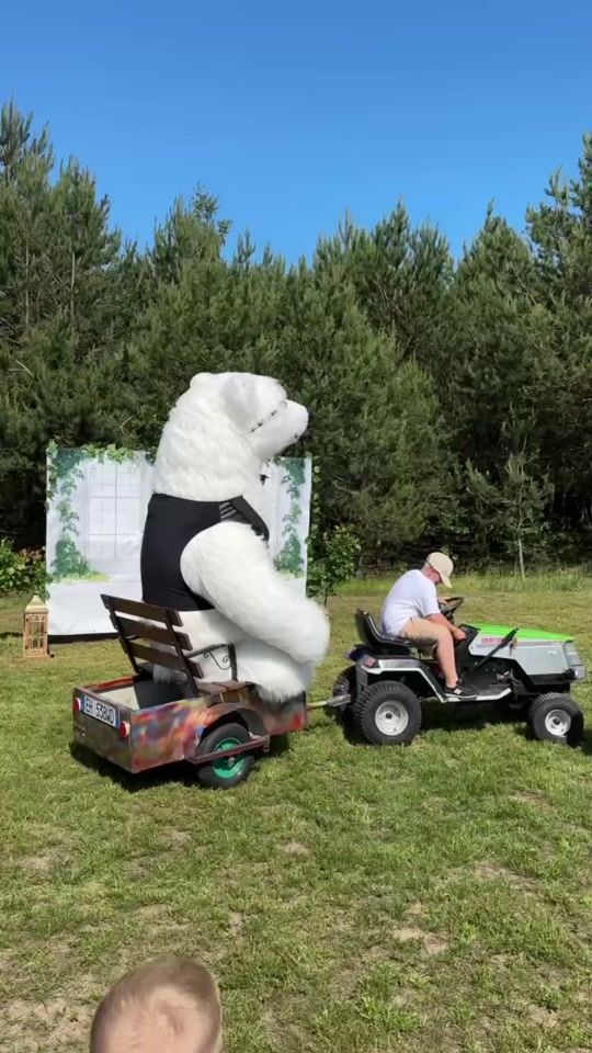 TikTok video thumbnail by misiek_tymek