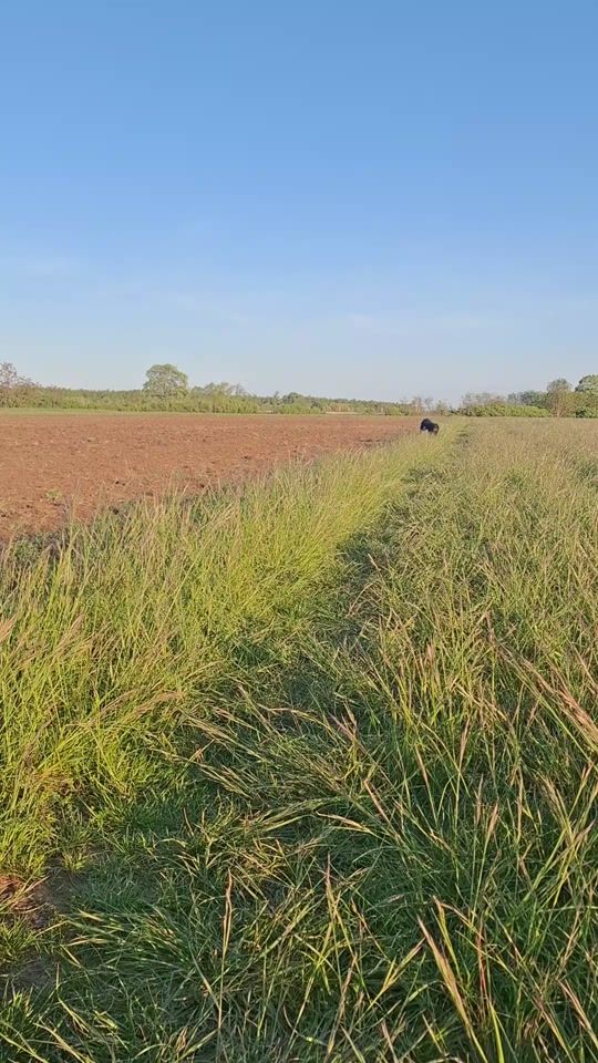 TikTok video thumbnail by slave123slave