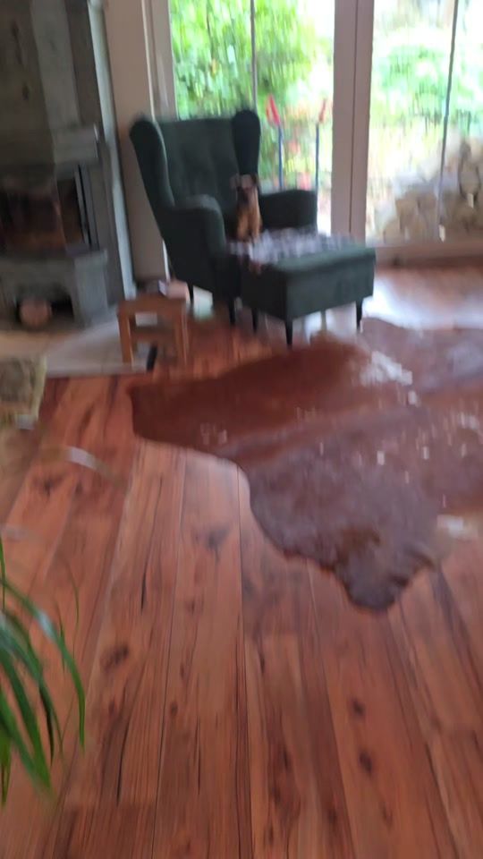 TikTok video thumbnail by lasse_und_leif