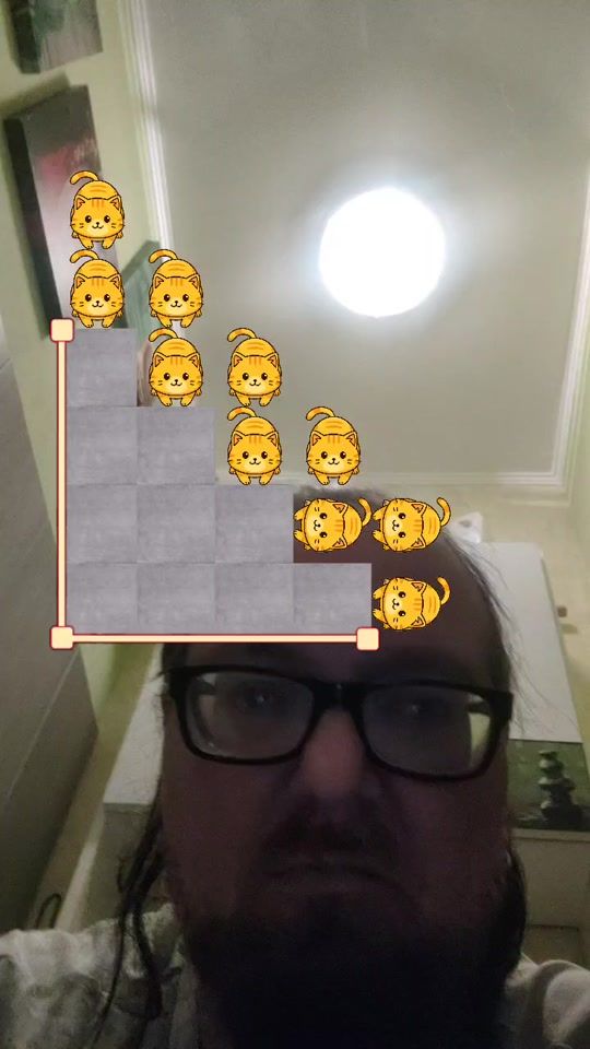 TikTok video thumbnail by davidbrandin