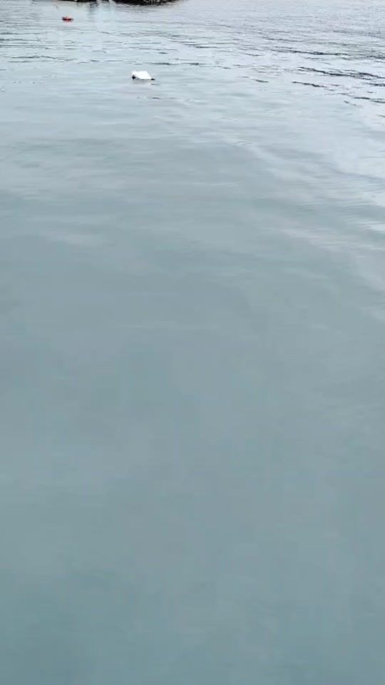 TikTok video thumbnail by rodexsre91d