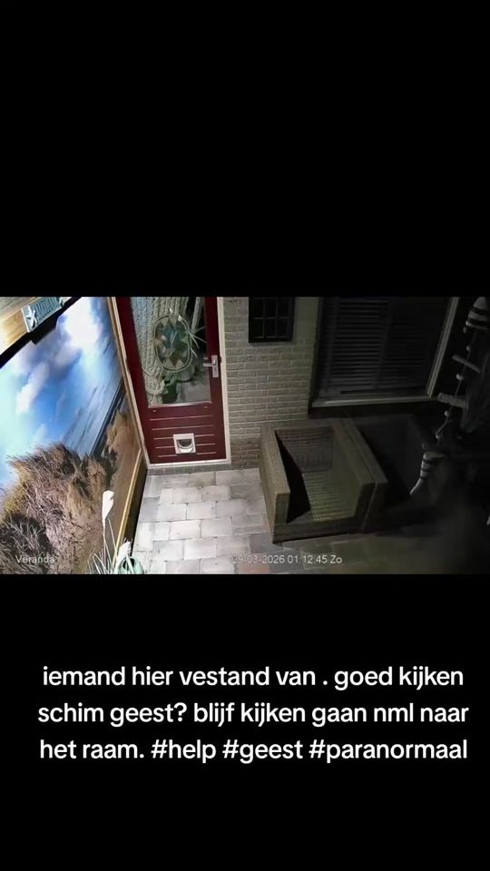 TikTok video thumbnail by justanne020