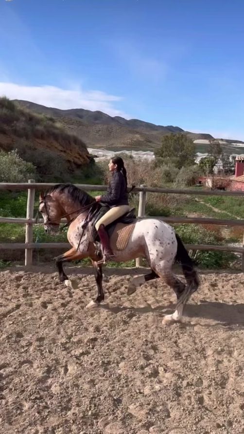 TikTok video thumbnail by juanamariihernandeeez