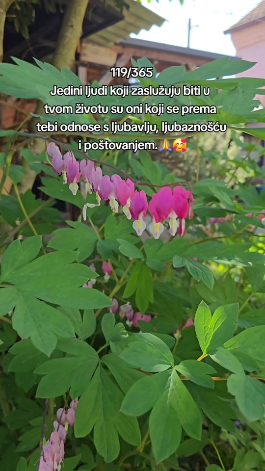 TikTok video thumbnail by greenart.holistic