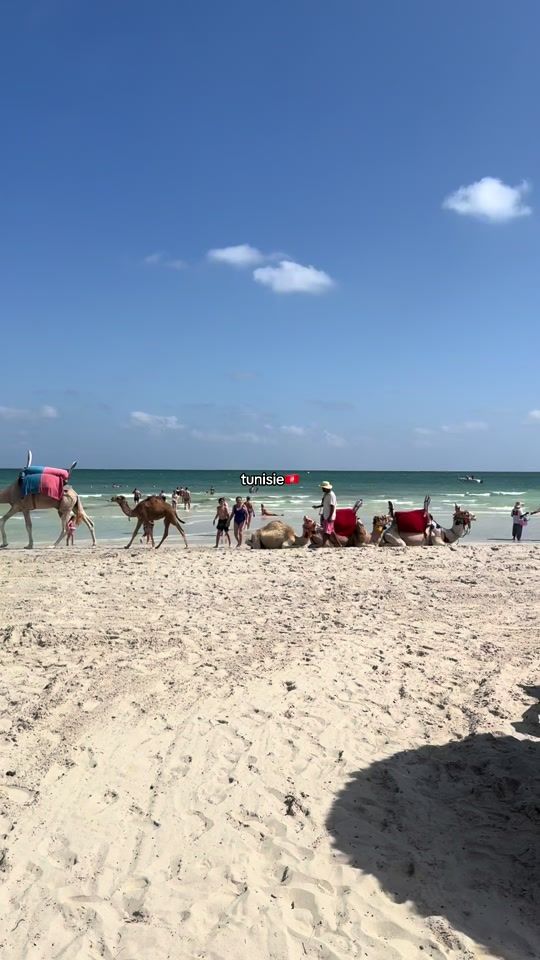 TikTok video thumbnail by gonca_rib_04