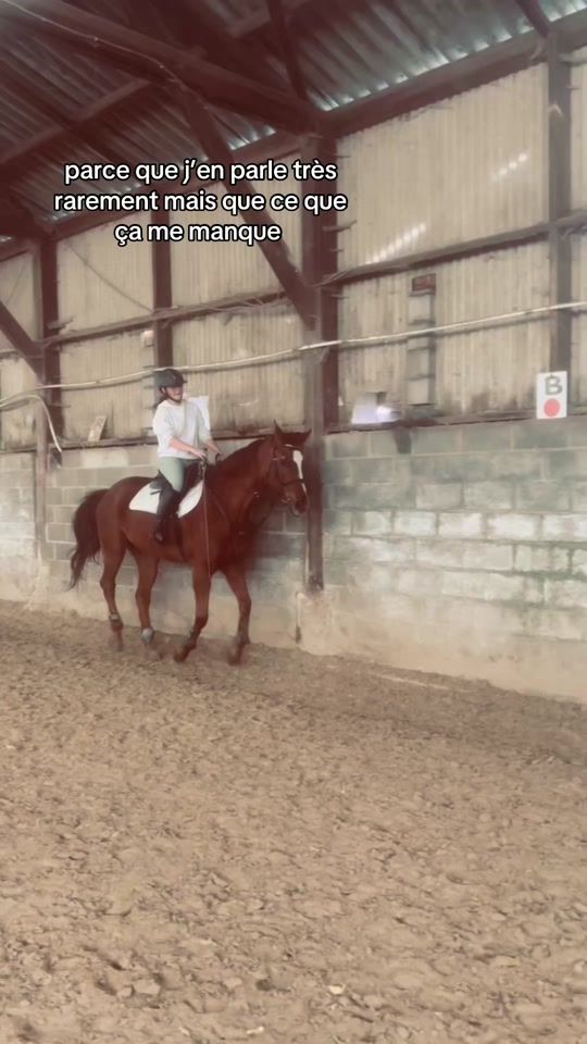 TikTok video thumbnail by shanna.grf