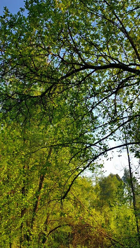 TikTok video thumbnail by nandateixeira13