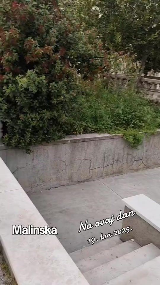 TikTok video thumbnail by zvonko600