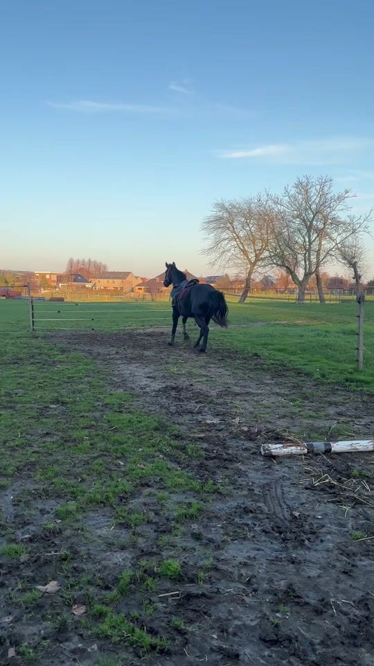TikTok video thumbnail by mila.casseau13