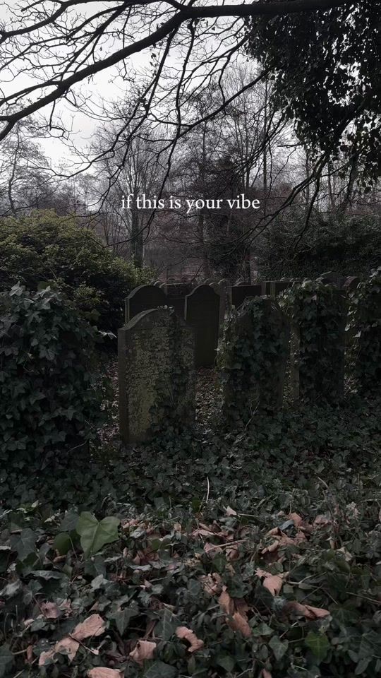 TikTok video thumbnail by chermetery