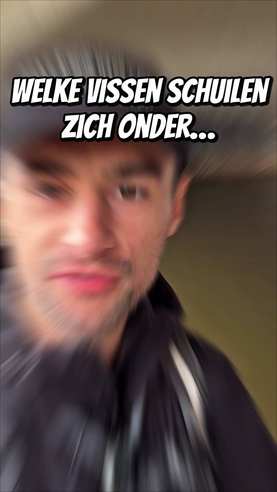 TikTok video thumbnail by vismeester
