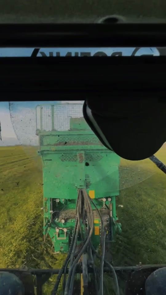 TikTok video thumbnail by finnvijge2