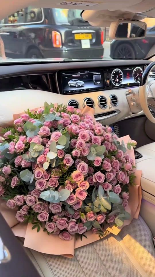 TikTok video thumbnail by infonaturaa