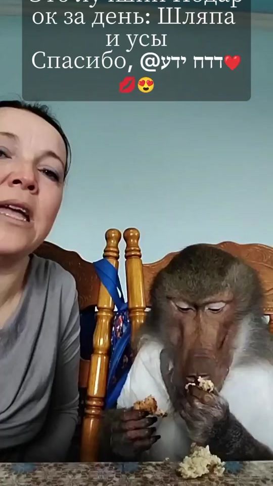 TikTok video thumbnail by mankiblog