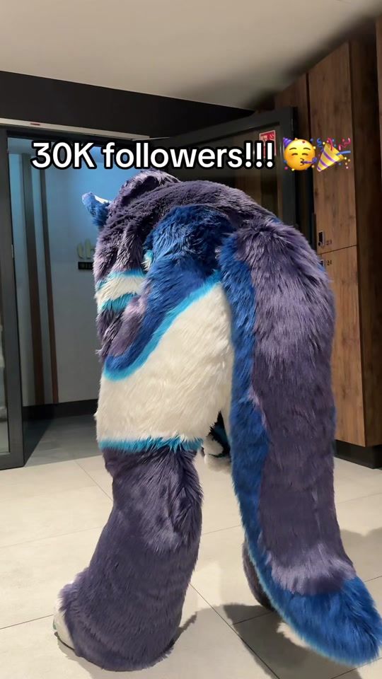 TikTok video thumbnail by furryfrodo