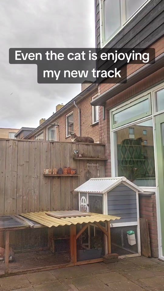 TikTok video thumbnail by x_cursion