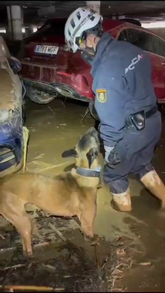 TikTok video thumbnail by policia