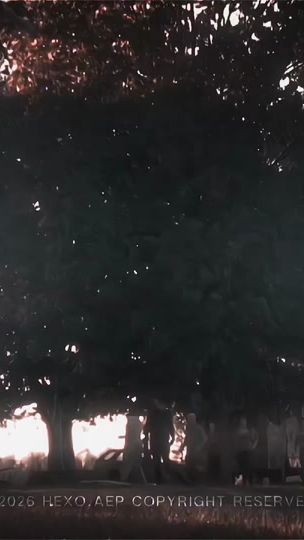TikTok video thumbnail by shane_aep