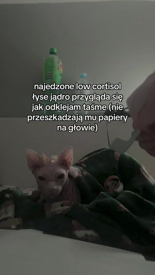 TikTok video thumbnail by get.lvst