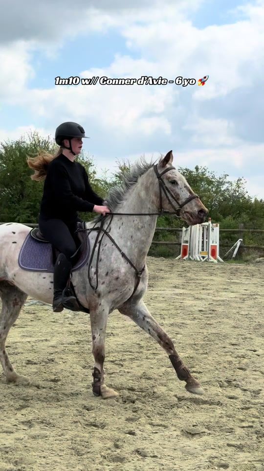 TikTok video thumbnail by t.p_horses