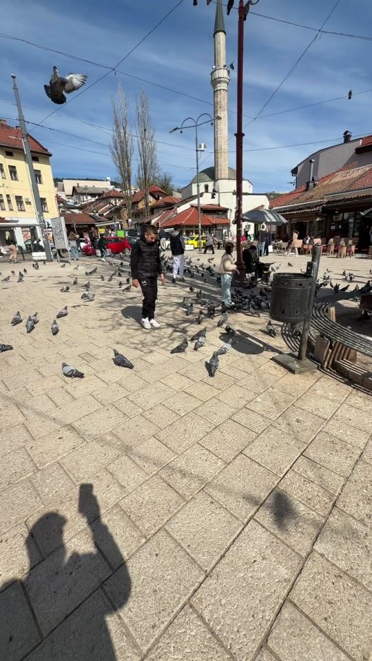 TikTok video thumbnail by izetbeganovic