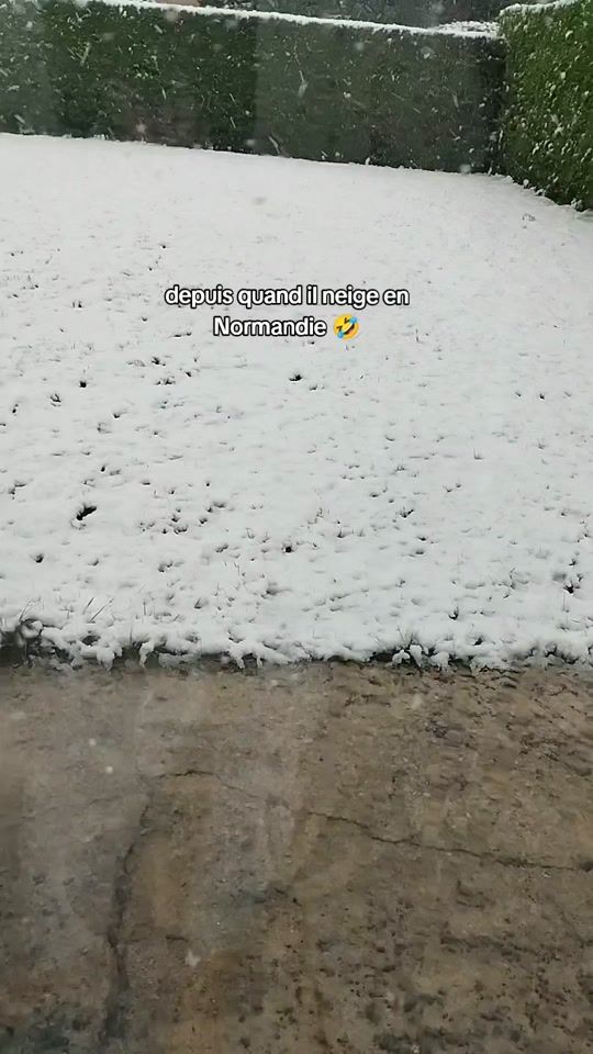 TikTok video thumbnail by xo_lily01