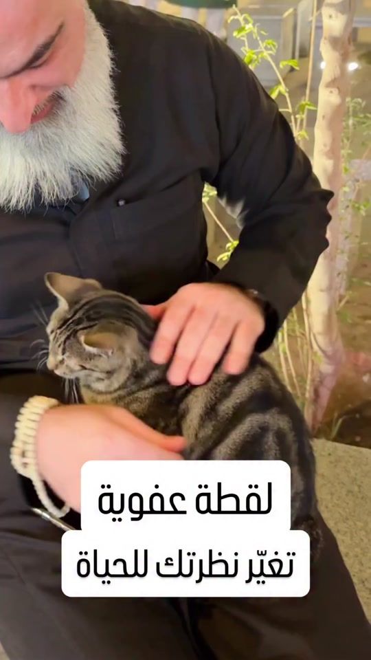 TikTok video thumbnail by mohamad_aslan1