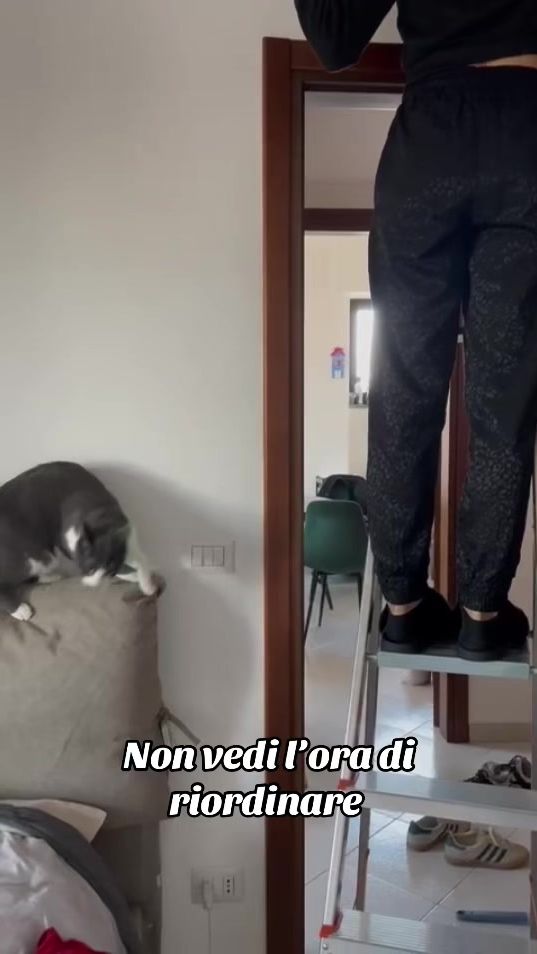 TikTok video thumbnail by lavitaconnespoli