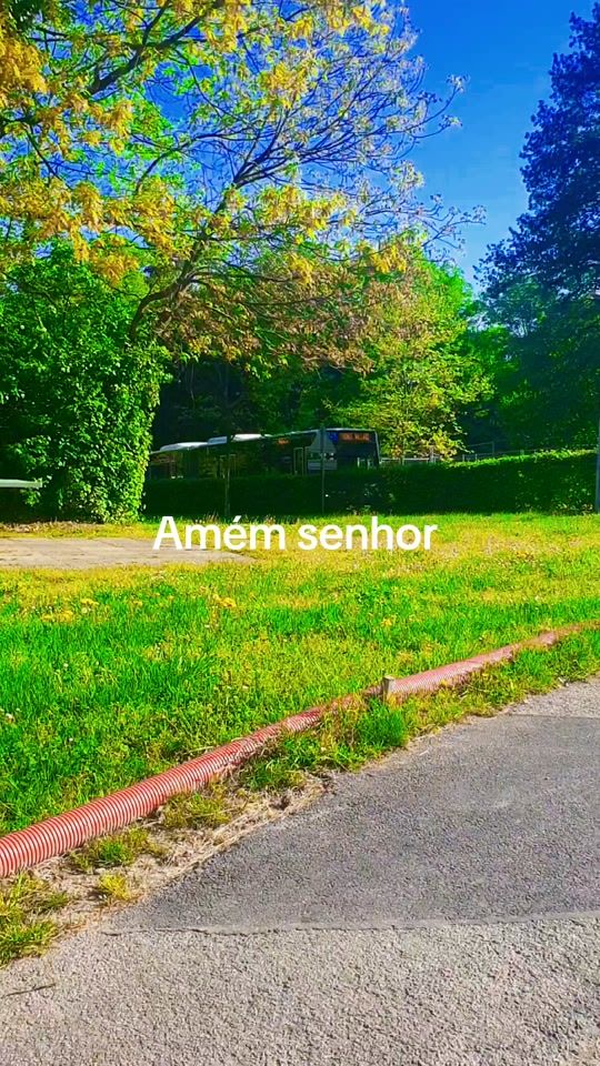 TikTok video thumbnail by filsdeshrek1