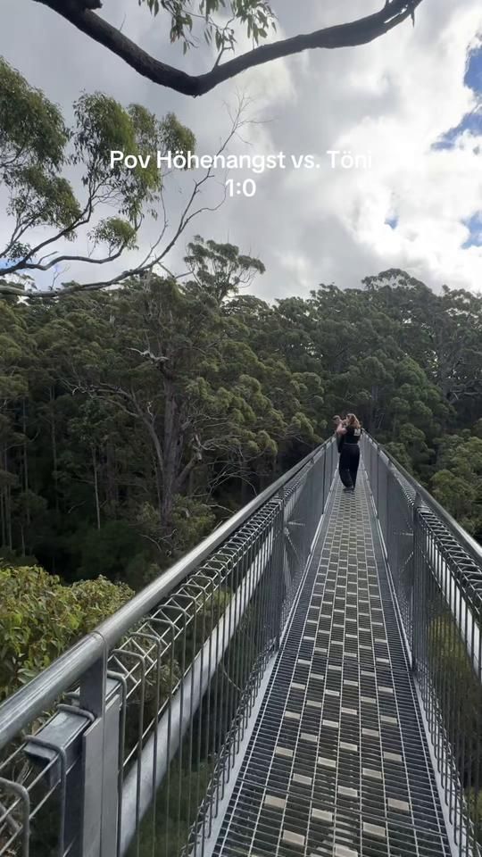 TikTok video thumbnail by tonihoepfner