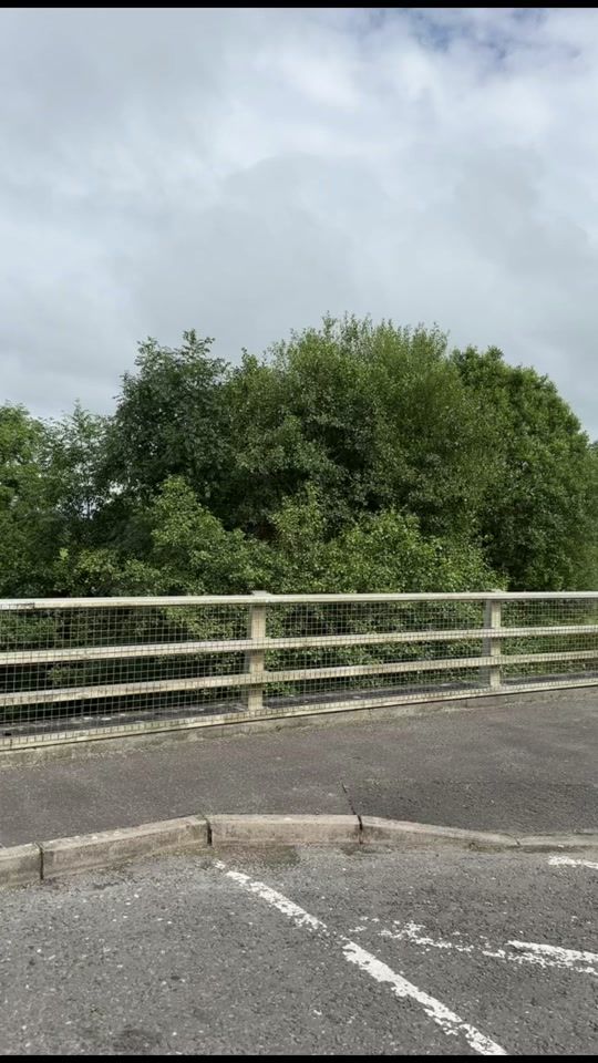 TikTok video thumbnail by daraharkin1