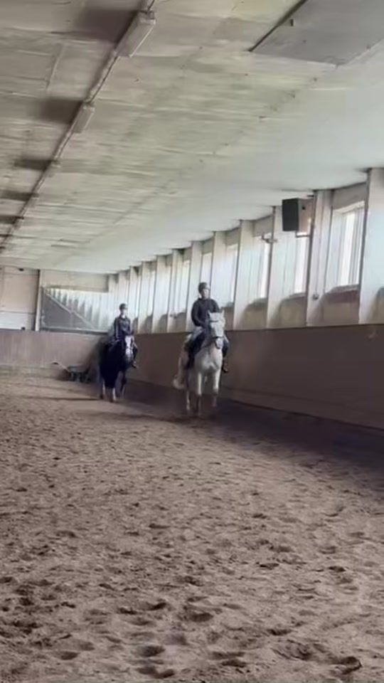 TikTok video thumbnail by clarissa.hecht