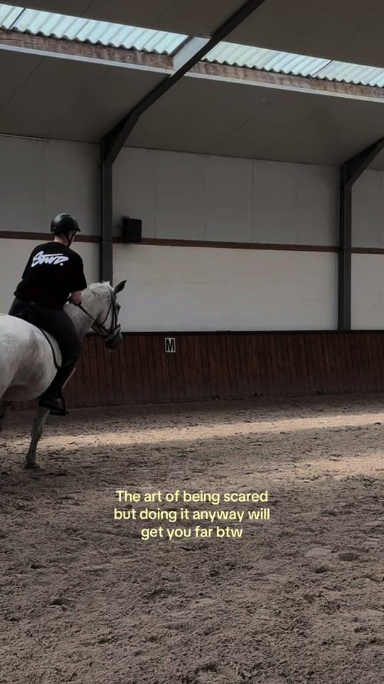 TikTok video thumbnail by equestrian.warre