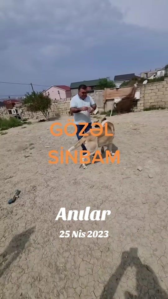TikTok video thumbnail by abbass.546