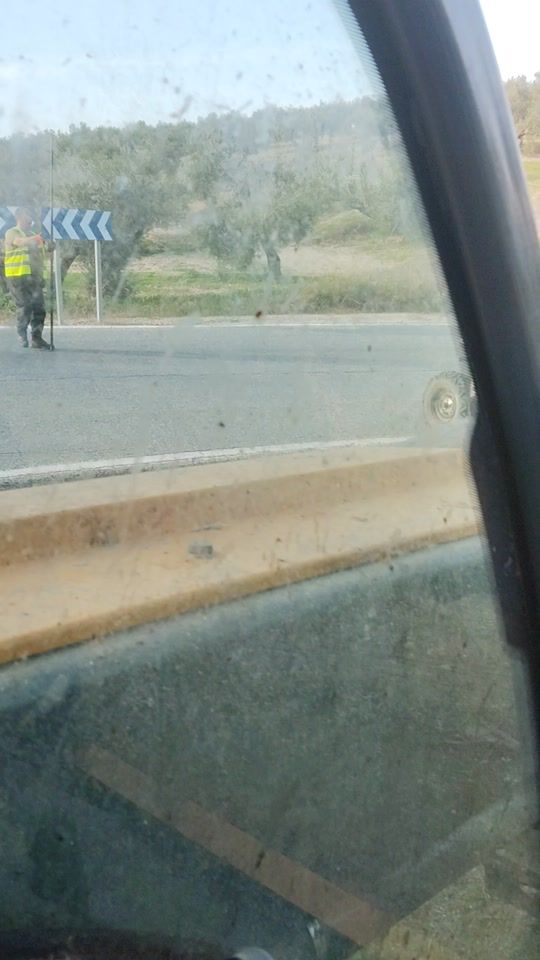 TikTok video thumbnail by antonio.blanca09