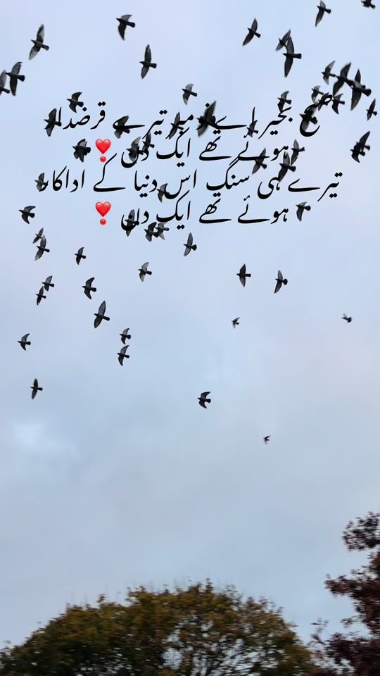 TikTok video thumbnail by kingimran0777
