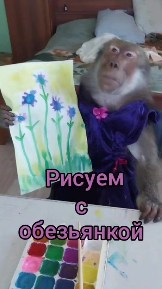 TikTok video thumbnail by mankiblog