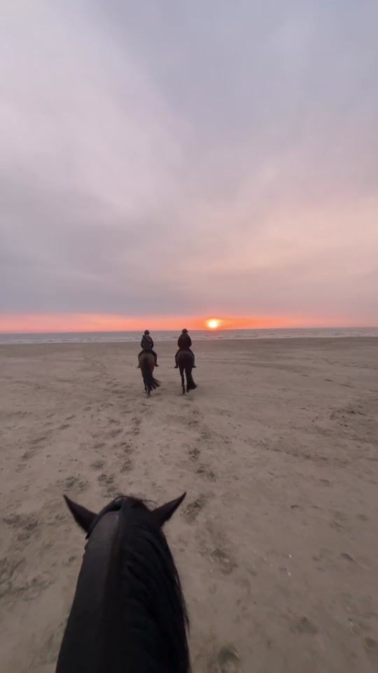 TikTok video thumbnail by yosrin_wachikh