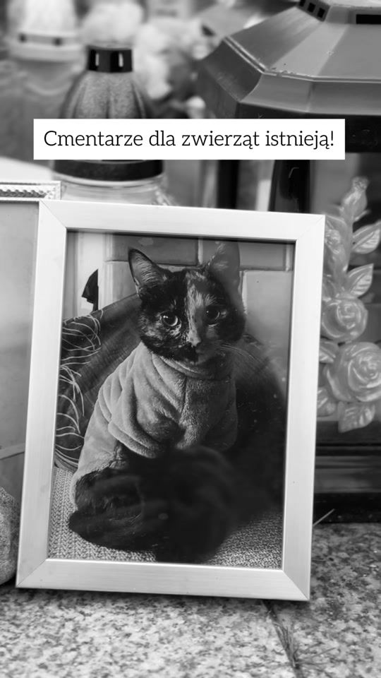 TikTok video thumbnail by martynasoul