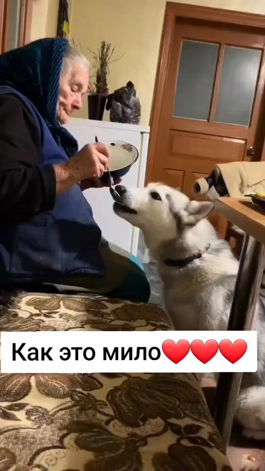 TikTok video thumbnail by barondiduhgmail.com