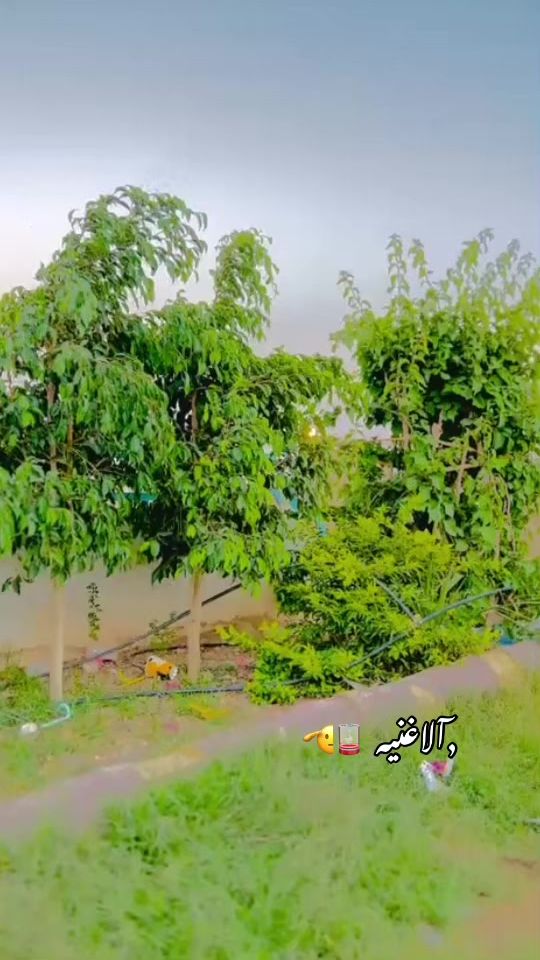 TikTok video thumbnail by alfkhm240