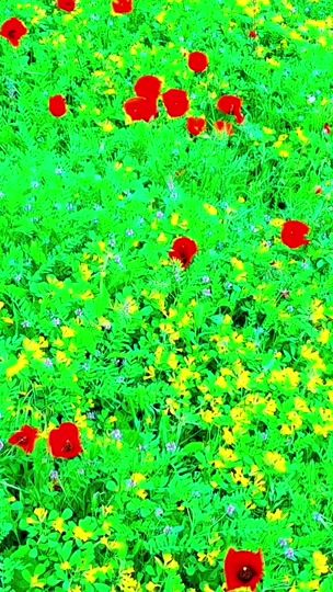 TikTok video thumbnail by jowzjanplus