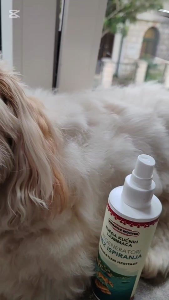 TikTok video thumbnail by konavlewolves