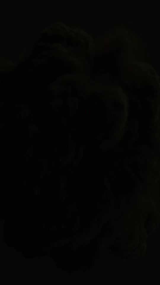 TikTok video thumbnail by sofastilberlin