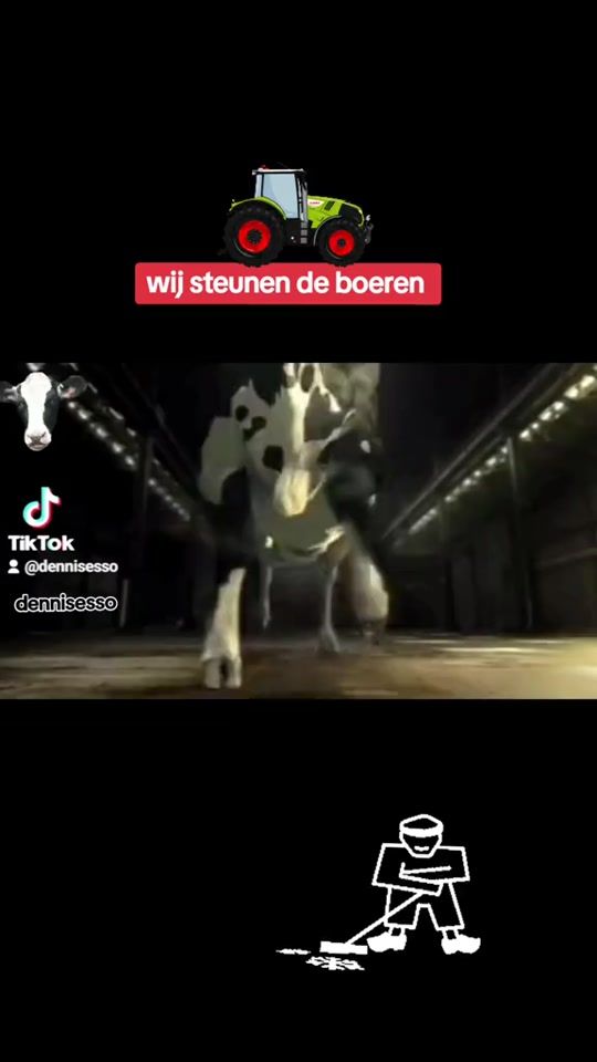 TikTok video thumbnail by dennisesso