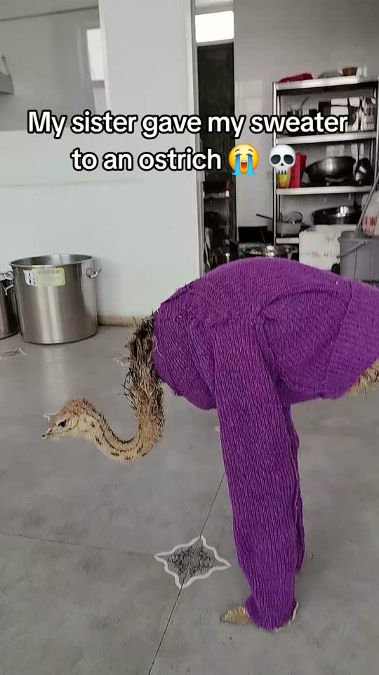 TikTok video thumbnail by underrated.moments