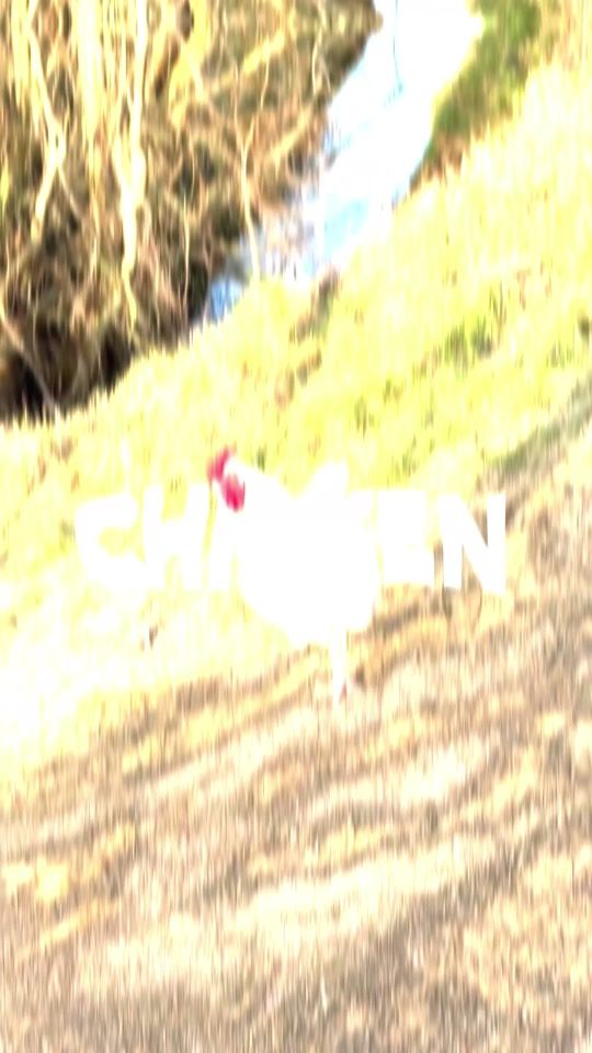 TikTok video thumbnail by chielmeester